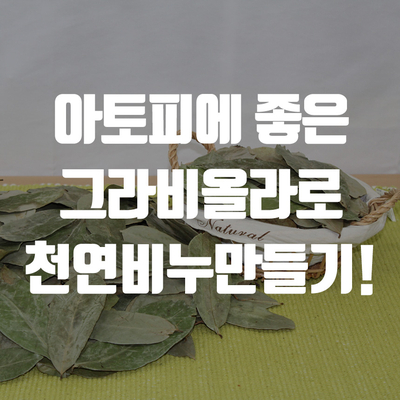  [건조한 피부에좋은] 그라비올라 천연비누만들기세트!