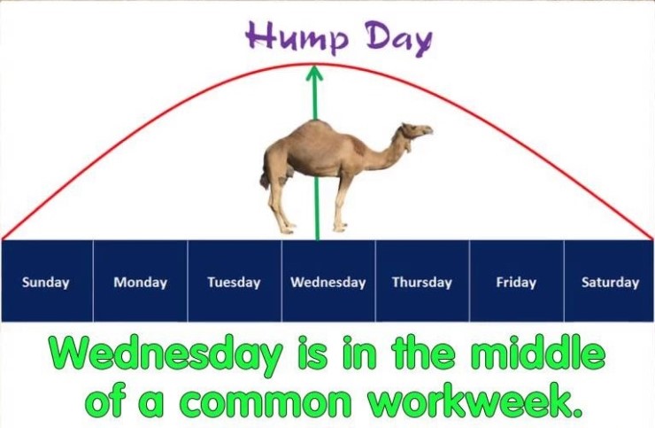 hump day