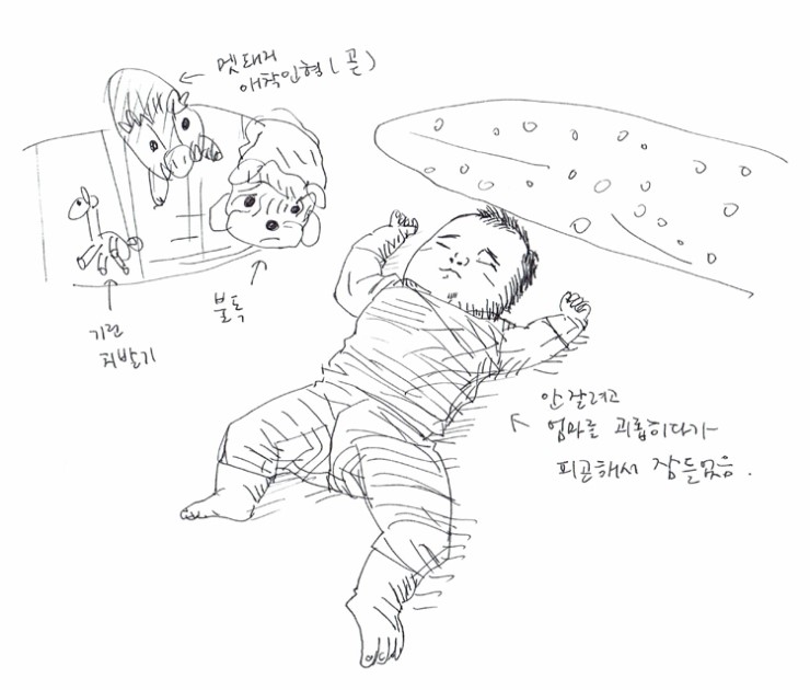 2018년 5월 30일. 강이의 관심사. 2018년 5월 30일. 강이의 관심사.
