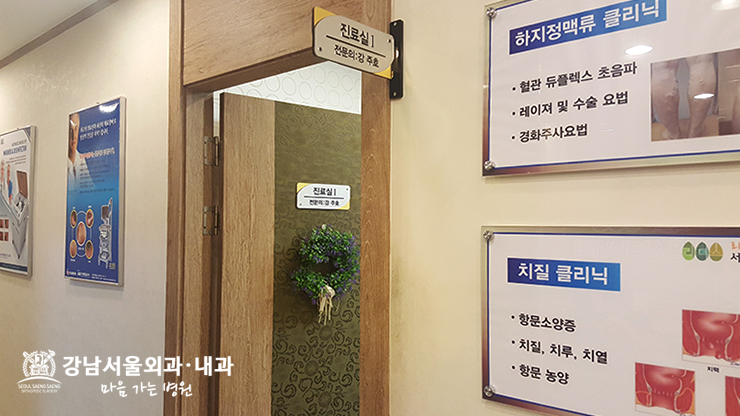 내치핵 증상, 그리고 치료법 : 네이버 블로그