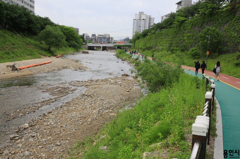 용인 산책길] 걷기 좋은 하천 산책길 '성복천' : 네이버 블로그