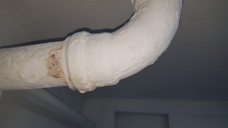  분당누수 이매동 진흥아파트 세탁실 천장 배관에서 물이 떨어진다면 어떻게 해야 할까? 배관보수방법