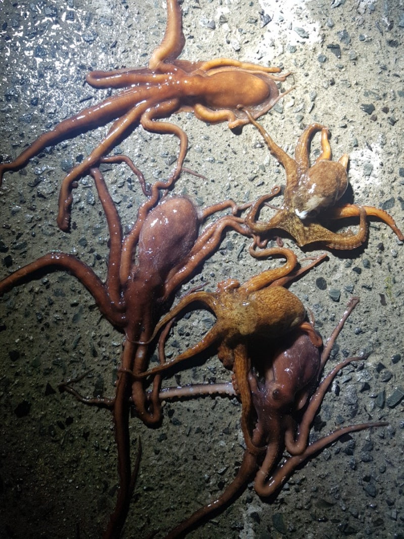 image0
