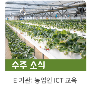  [수주소식] E기관 한국 농업의 미래는 ICT 교육에서부터