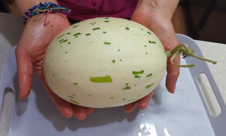  신기한 백자 멜론! 노을 멜론!