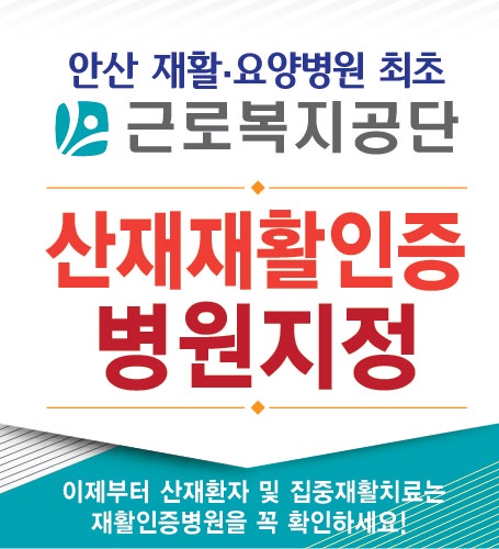 [안산요양병원/안산재활요양병원/사회복지프로그램] 육해공 동물 붙이기 3