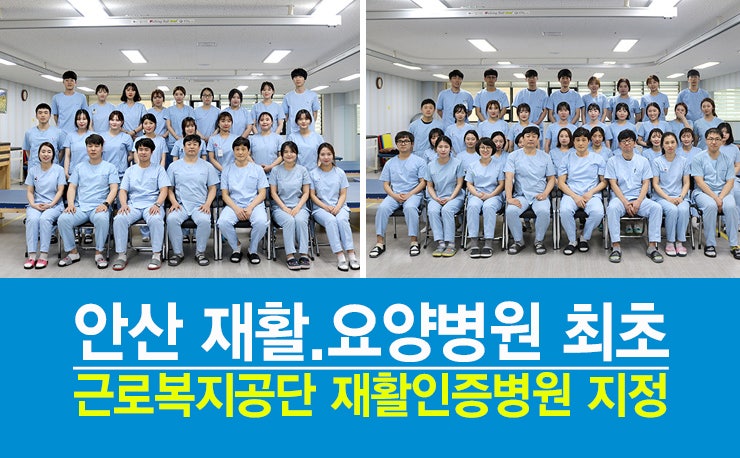 [안산요양병원/안산재활요양병원/사회복지프로그램] 육해공 동물 붙이기 4
