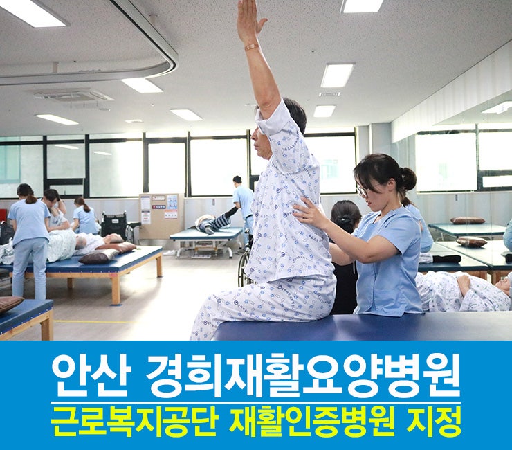 [안산요양병원/안산재활요양병원/사회복지프로그램] 육해공 동물 붙이기 6