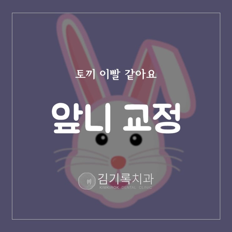 수원치아교정전문의 동탄치과추천 비발치교정 토끼앞니교정 두번째 앞니가 거꾸로 물려요 앞니가 삐뚤삐뚤해요