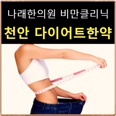  천안 감비탕 다이어트한약 : 신부동 나래한의원 가격등 안내