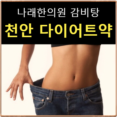  천안 감비탕 다이어트한약 한의원 안내 : 신부동 나래한의원