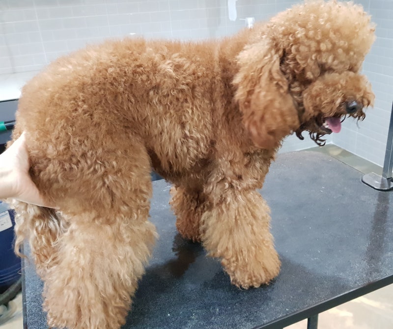 사진 2
