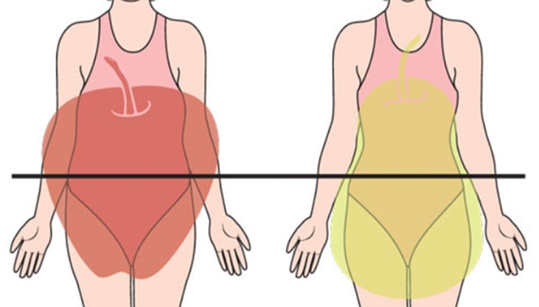 갱년기 여성에게 복부비만은 불가피한가? 3