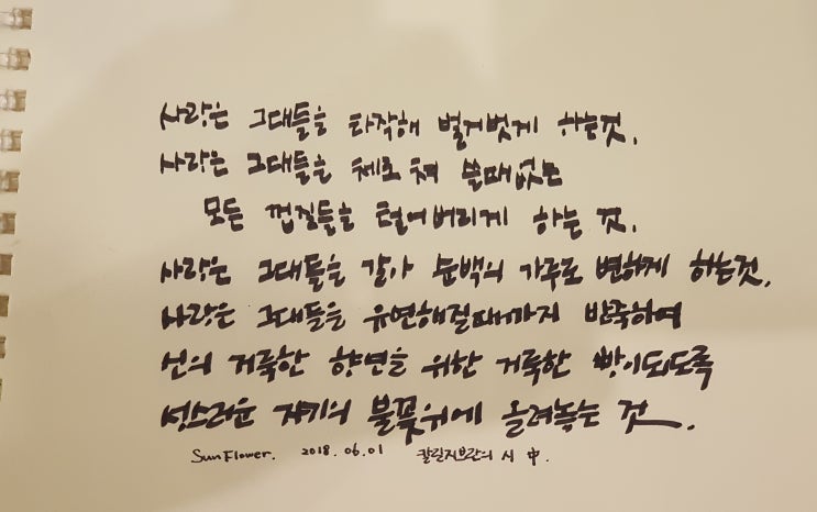  사랑은 그대들을.