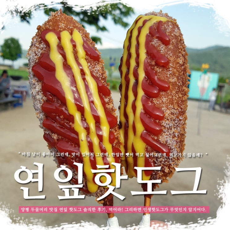  양평 두물머리 맛집 연잎 핫도그 솔직한 후기
