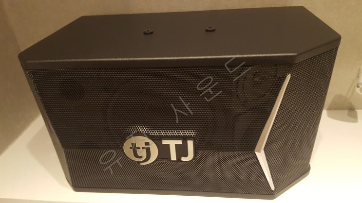  TJ 미디어 실속형 8" 태진 노래방스피커  TS-F80 [ 동전 노래방기계 스피커 ]