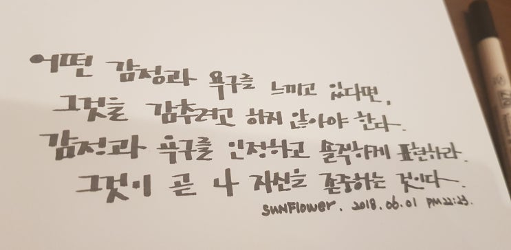  캘리그라피-