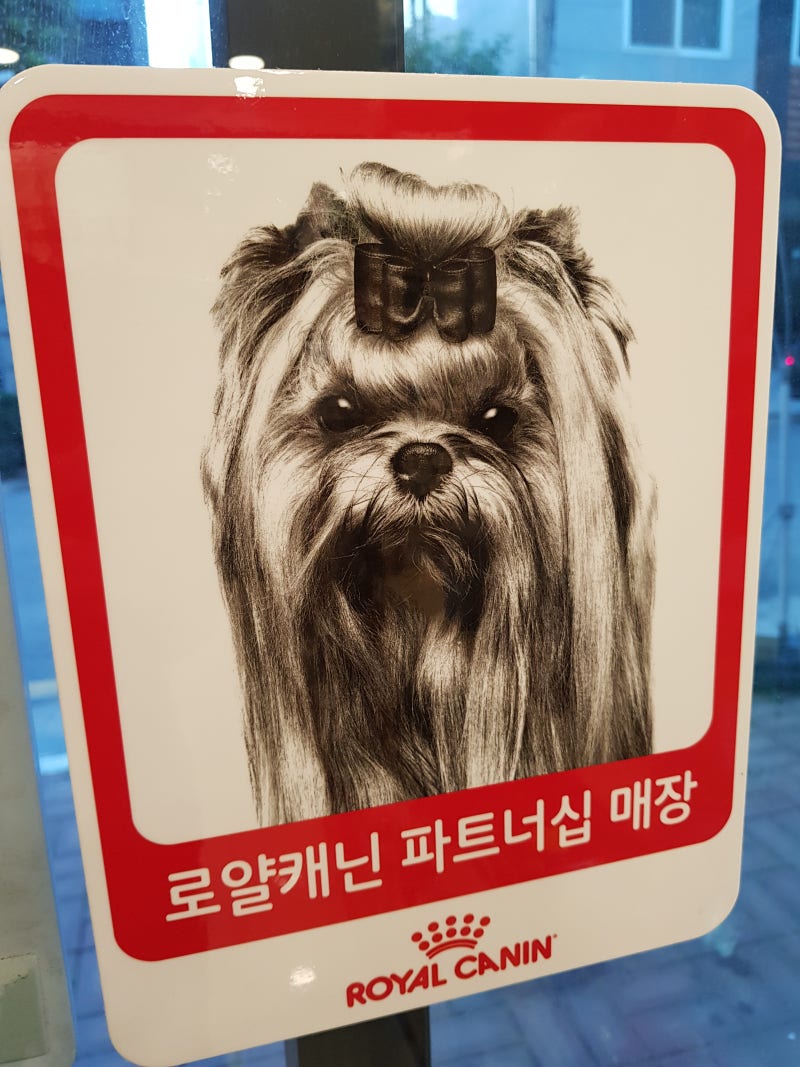 사진 4