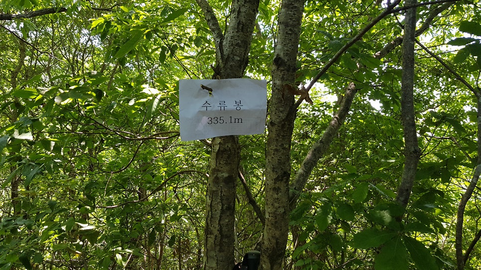 분통골 사진 4