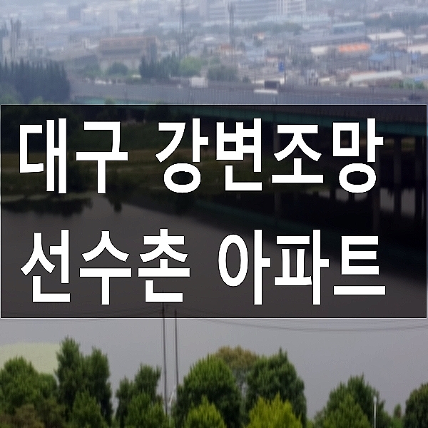 대구아파트 동변동 선수촌 2단지 강변조망 31평