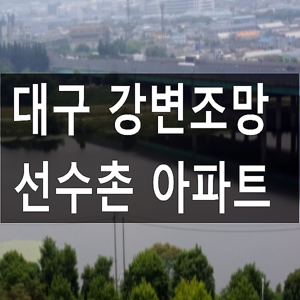  대구아파트 동변동 선수촌 2단지 강변조망 31평