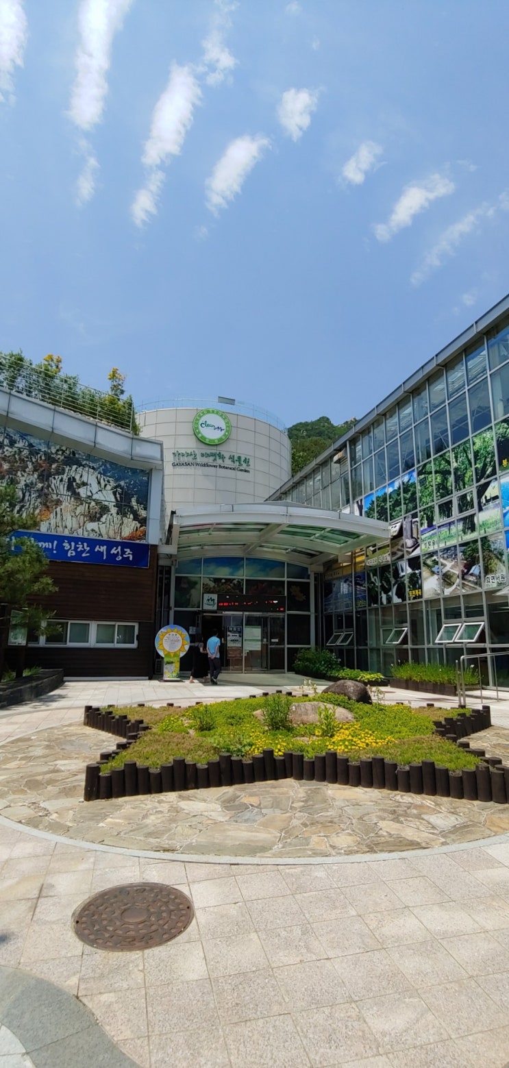  [행복] 아빠! 어디가?_성주 가야산 야생화 식물원