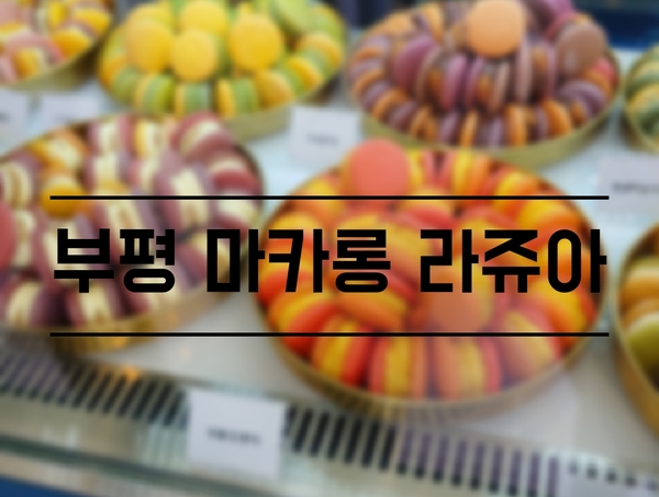 [Food] 부평 평리단길 마카롱 _마카롱라쥬아(MACARON LA JOIE)