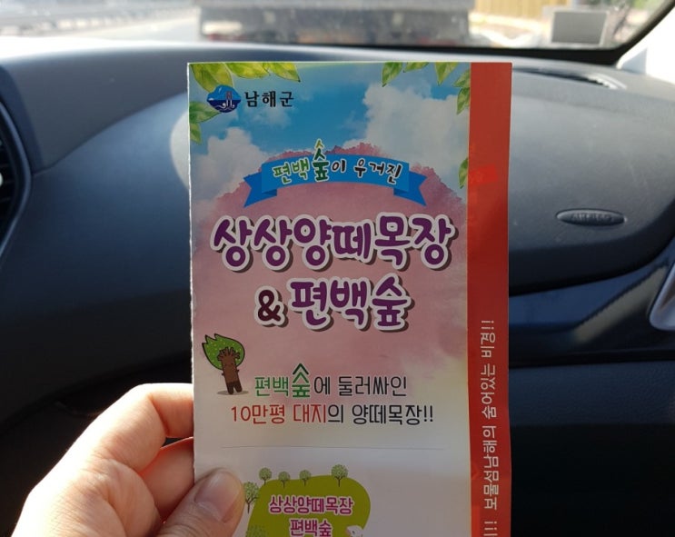  상상양떼목장 편백숲