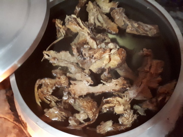  자리공  천연 살충제 만들기.