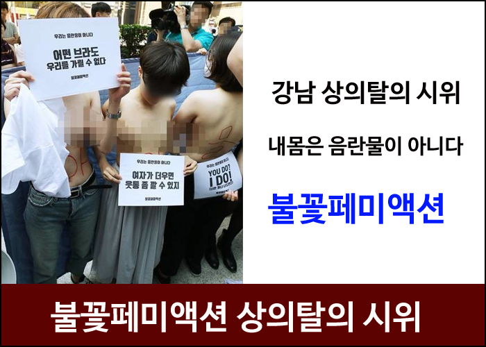 ë¶ˆê½ƒíŽ˜ë¯¸ì•¡ì…˜ ê°•ë‚¨ ìƒì˜íƒˆì˜ì‹œìœ„ ë‚´ëª¸ì€ ìŒëž€ë¬¼ì´ ì•„ë‹ˆë‹¤ ë„¤ì´ë²„ ë¸