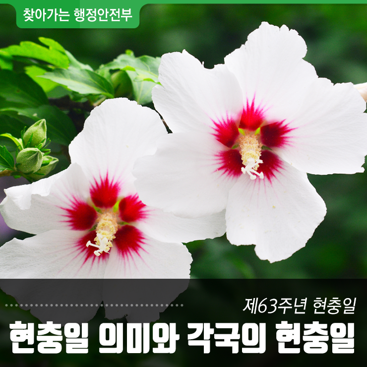  63주년을 맞이한 현충일의 의미와 각국의 현충일