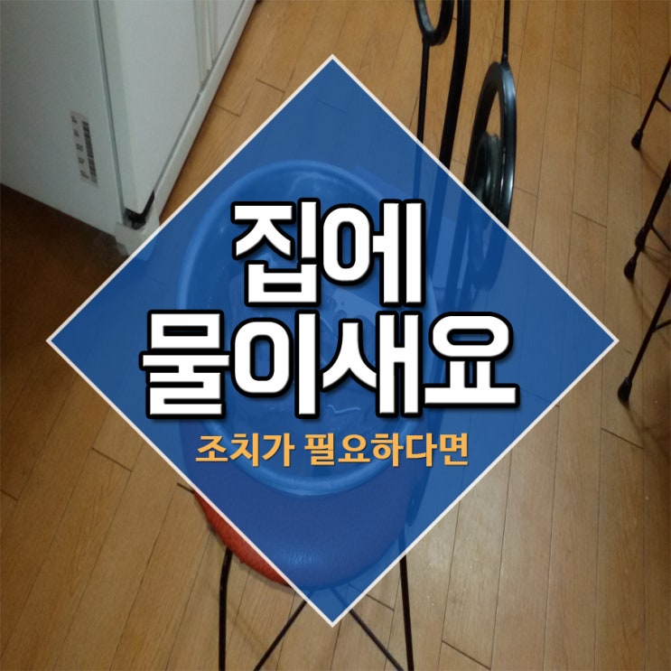  집에물이새요 조치가 필요하다면
