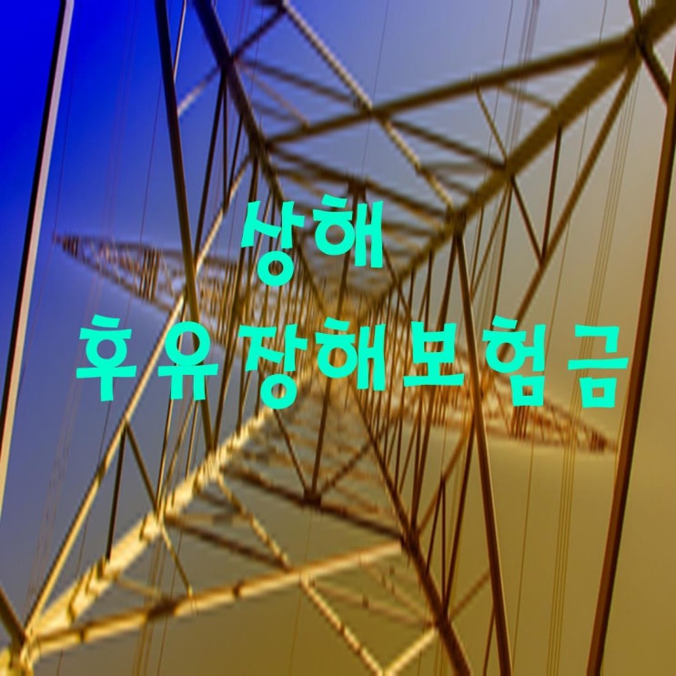 [상해보험] 상해후유장해 보험금사례