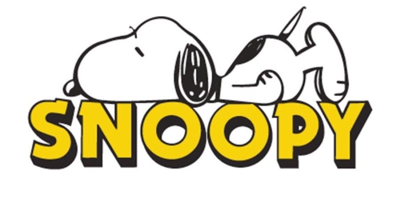 [바이가니 : BY GANI] 찰리브라운과 스누피 (The Charlie Brown And Snoopy) : 원제 피너츠