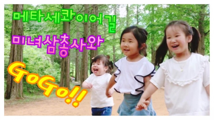  세종 금강수목원/금강자연휴양림) 메타세콰이어길 장미원 동물원 -힐링하고 오세요