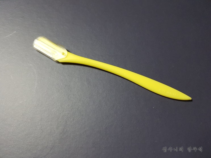 [매일매일 버리기]D+200_눈썹칼