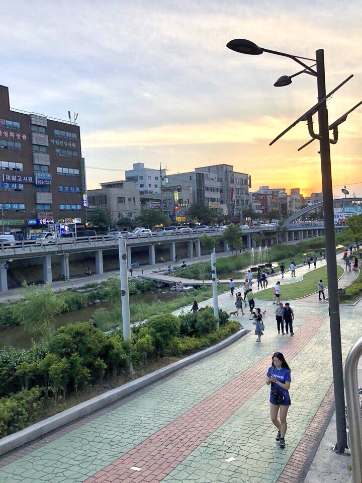 관악구 신림 도림천에서 따릉이 자전거 산책에 빠지다 관악구 신림 도림천에서 따릉이 자전거 산책에 빠지다