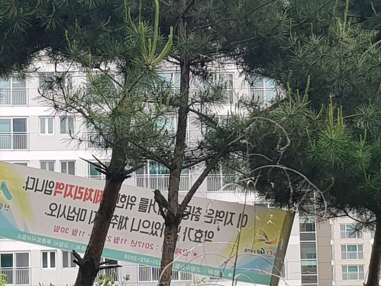  고양시 신원동 삼송동일스위트1차 앞 송강이야기공원 산책로 가 보셨나요?