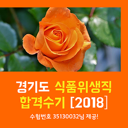 2018 경기도 식품위생직 합격수기 [시흥시]