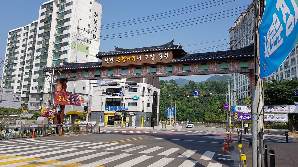 독골산 사진 4