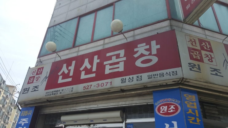 오늘의 점심메뉴는 선산곱창