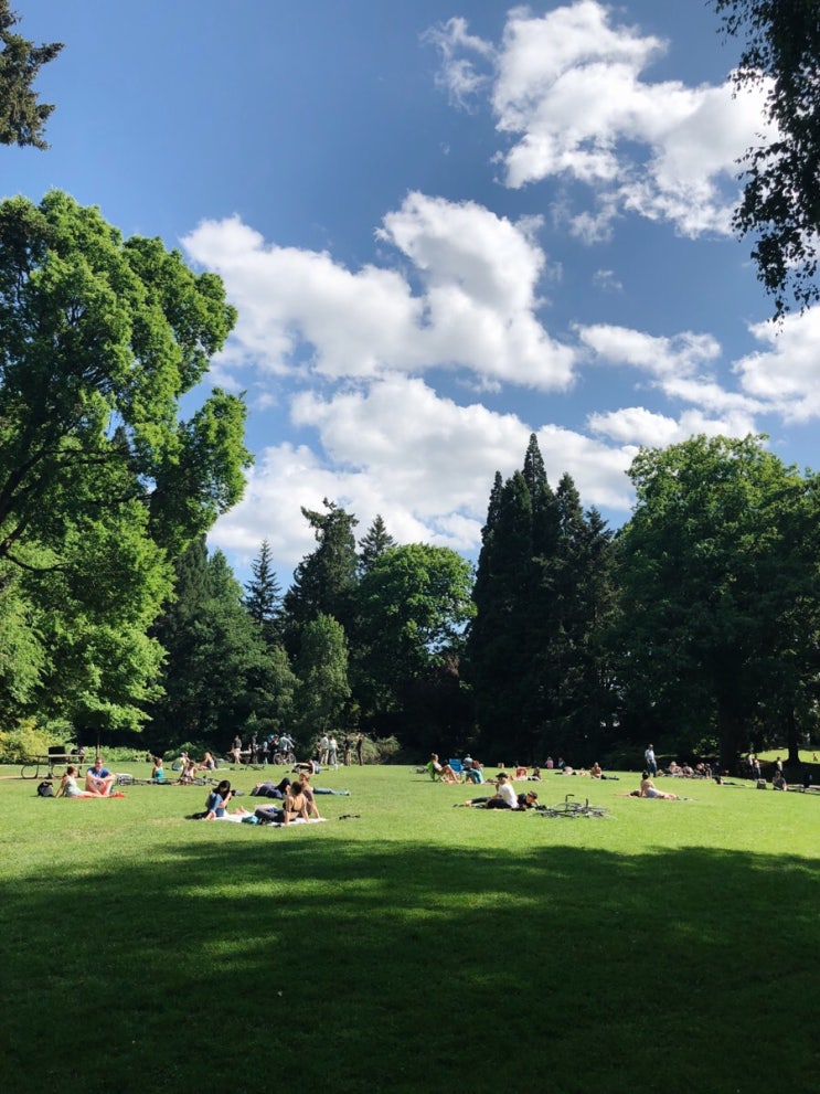  Laurelhurst Park | 포틀랜드 일상 | 포틀랜드 스냅