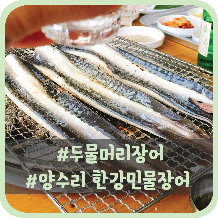  두물머리장어 양수리 한강민물장어에서 팔뚝만 한 장어 맛보세요!