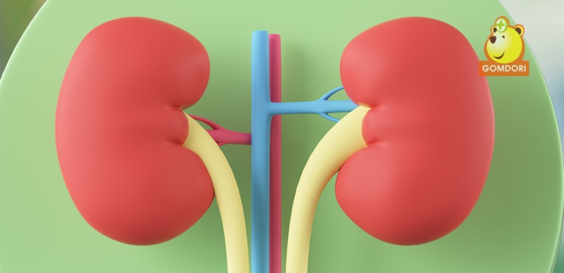 소아혈뇨? 소아과 의사가 말하는 감별진단