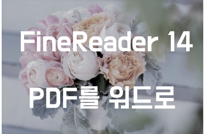  OCR 프로그램 ABBYY FineReader 14 [ PDF 를 워드로 변환하기 ]