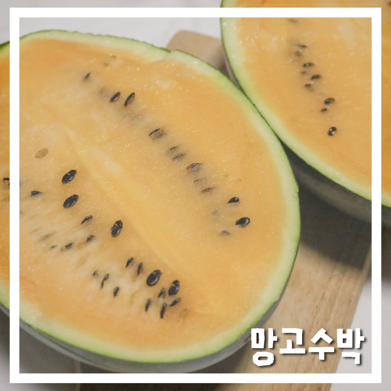 블랙망고수박 :: 속이 노란 수박 달고 맛있어요!