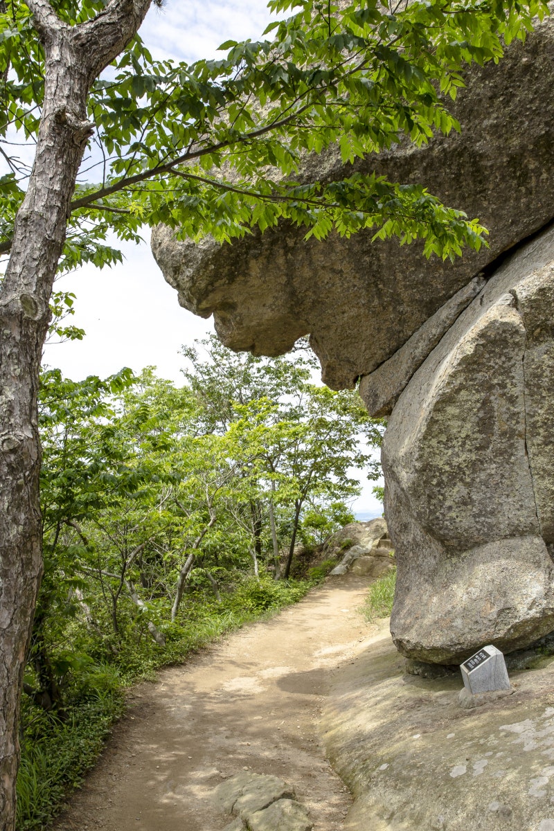 OPENHOUSE SEOUL, image size:800x1200