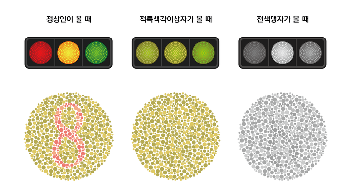 그와 그녀의 무지개는 같은 색일까요? 색약 색맹 테스트해드립니다. 전주 색약색맹 전문 란돌트 : 네이버 블로그