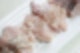 통돌이 오븐 생선구이,통돌이 오븐 단점,통돌이 오븐 해외배송,통돌이 오븐 리뷰,통돌이 오븐 사용법,통돌이 오븐 미국 구매,통돌이 오븐 레시피,통돌이 오븐 요리,통돌이 오븐 후기,통돌이 오븐 가격,