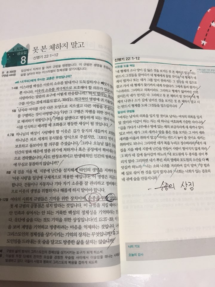 매일성경큐티 당신을 감동시킬 성경 말씀으로 심리적 치유를 느껴보세요! (클릭해서 확인해보세요)